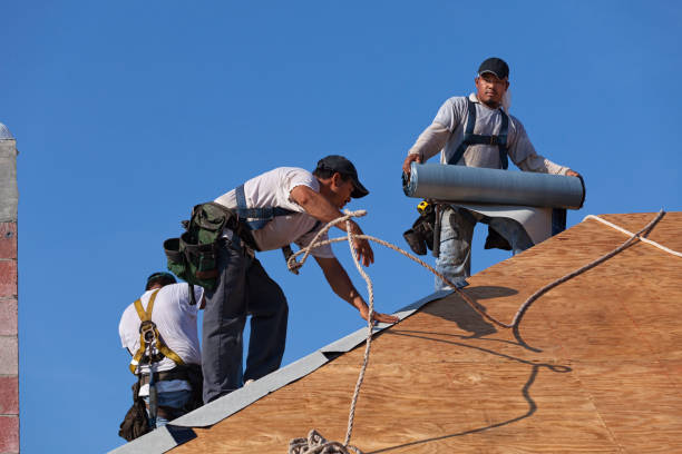 Best Commercial Roofing Services  in Alamosa, CO