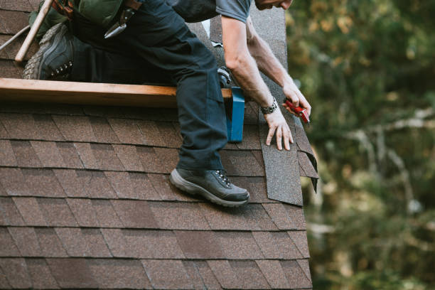 Best Roofing Contractor Near Me  in Alamosa, CO